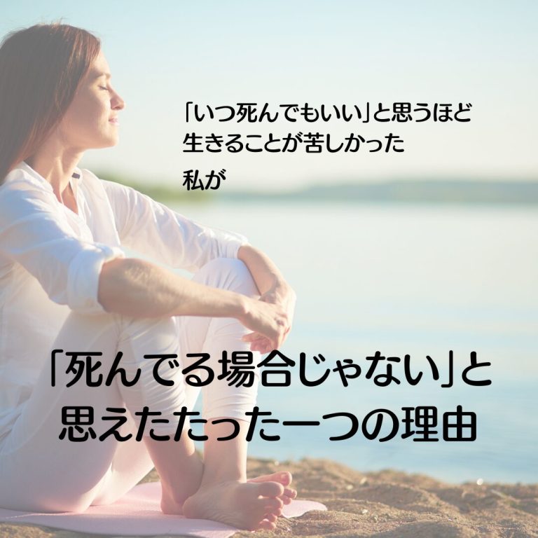 また失敗するかもしれない (19)