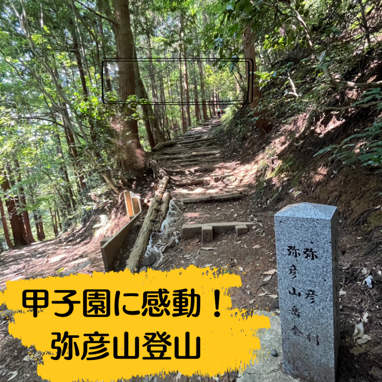 サラダステックピクルスのコピー (2)