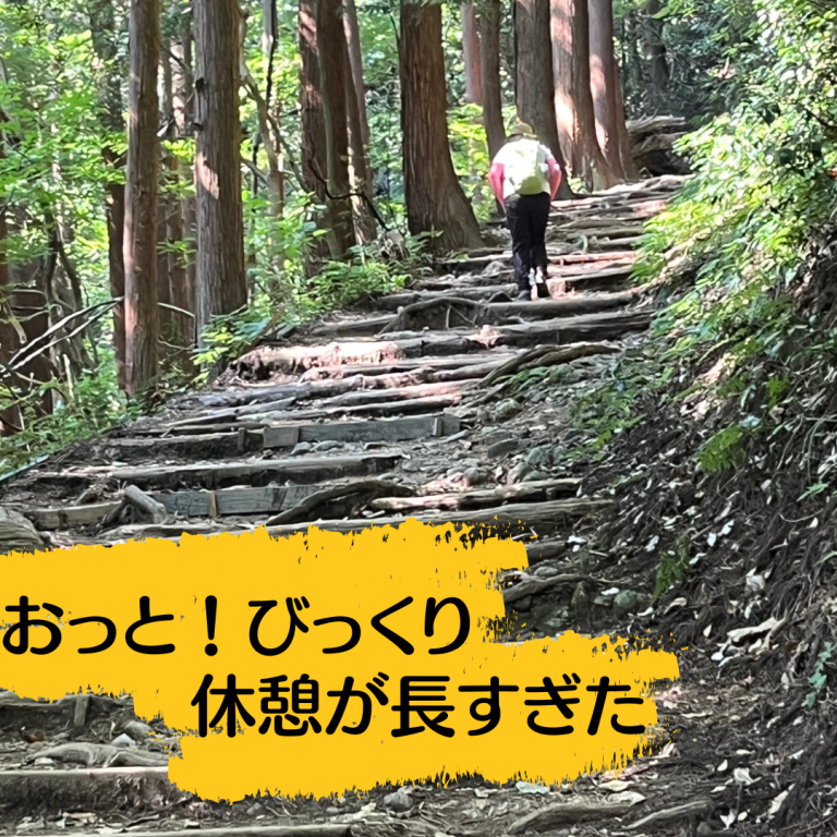 サラダステックピクルスのコピー (5)